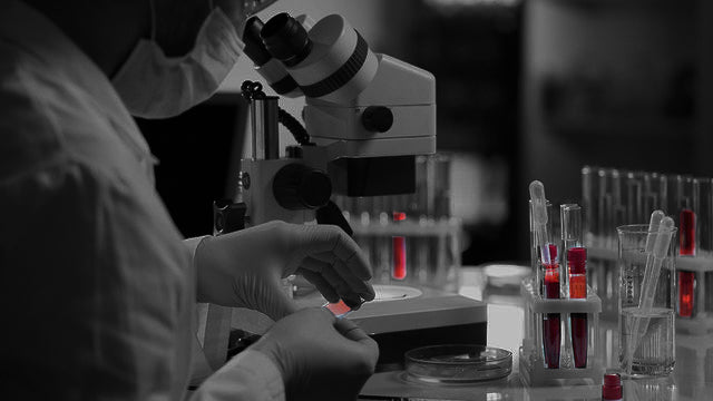 Header image, lab technician | Strom Blood Work Partnership with i-screen | NZ