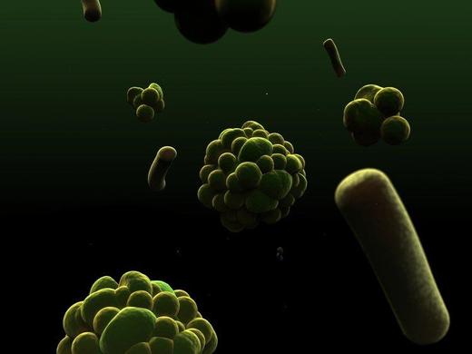 About ATP (adenosine triphosphate), the biological batteries of all life. - Strom Sports New Zealand