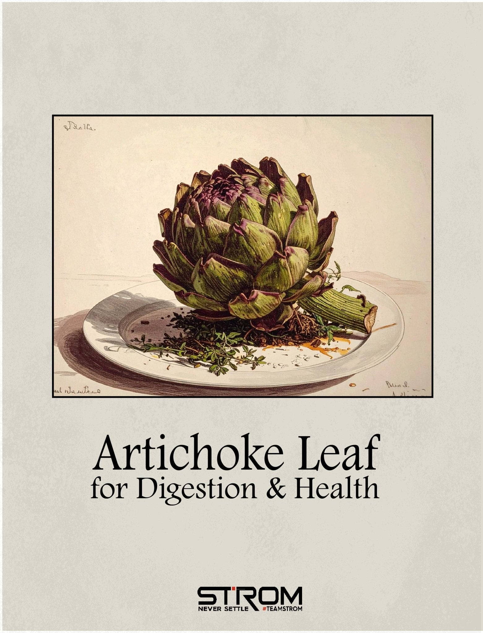 Artichoke Extract for Digestion, Cholesterol & Liver Health - Strom Sports New Zealand