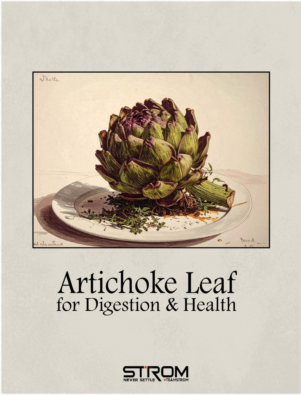 Artichoke Extract | Digestion & Heart Health | Strom NZ – Strom Sports ...