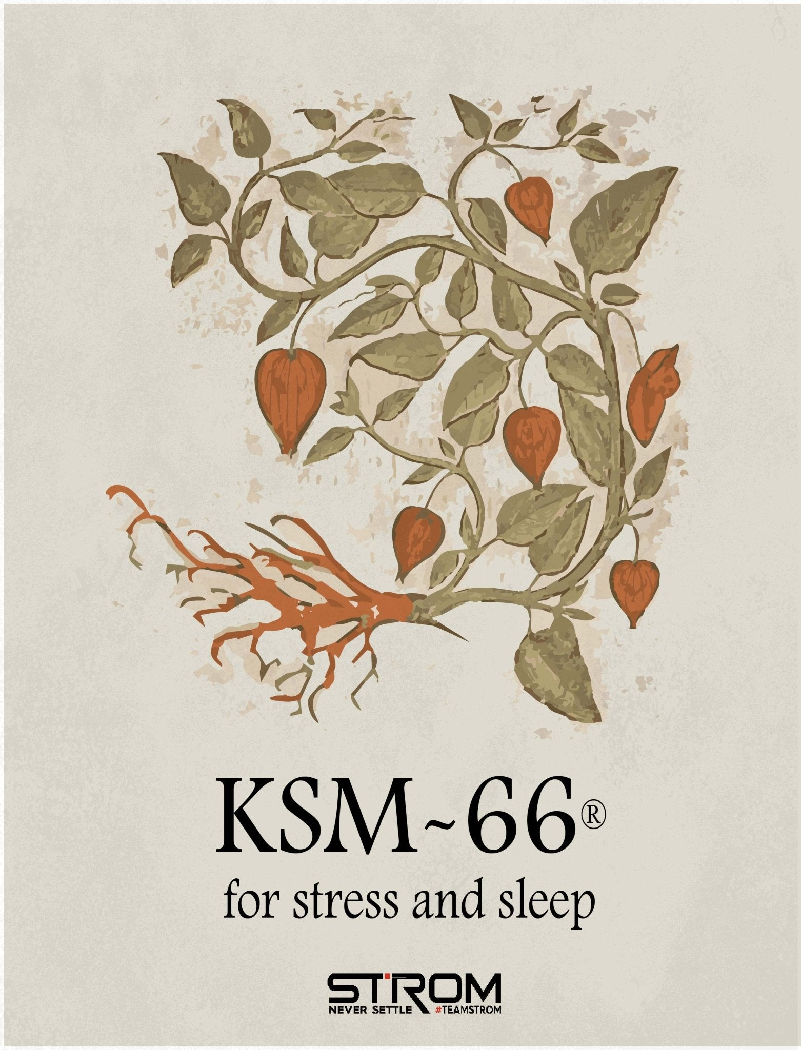 KSM-66® Ashwagandha – Natural Stress Relief Backed by Science - Strom Sports New Zealand