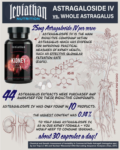 Kidney Support // Kidney & Bladder Support - Essentials - Strom Sports Nutrition