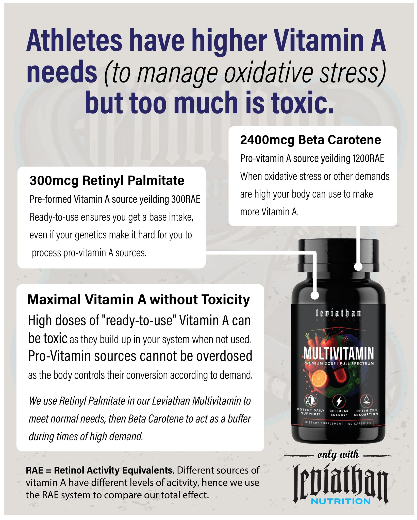 Leviathan Multivitamin - vitamin - Strom Sports New Zealand