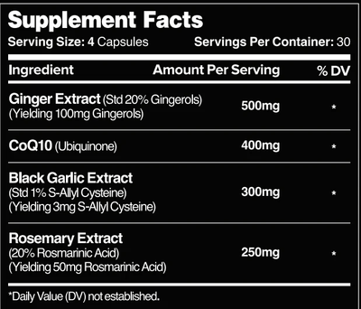 Vital Heart // Cardiovascular Health - Strom Sports New Zealand