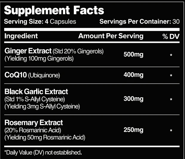 Vital Heart // Cardiovascular Health - Strom Sports New Zealand