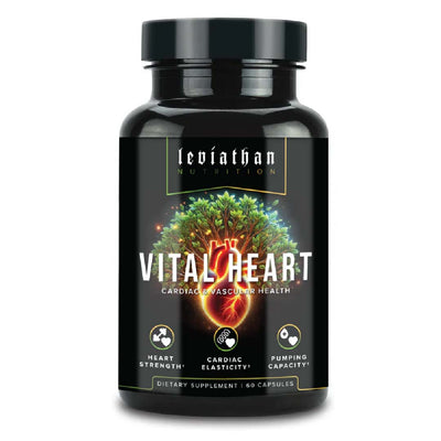 Vital Heart // Cardiovascular Health - Strom Sports New Zealand