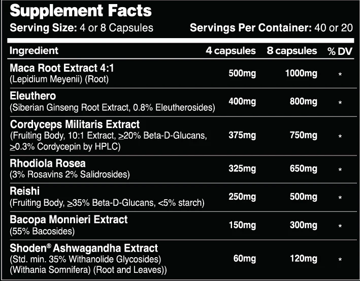 Vizure // Stress Support - Nootropic - Strom Sports New Zealand