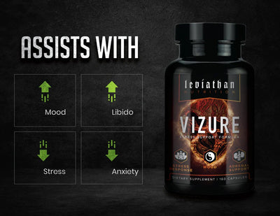Vizure Benefits Panel // Stress Support - Nootropic - Strom Sports Nutrition