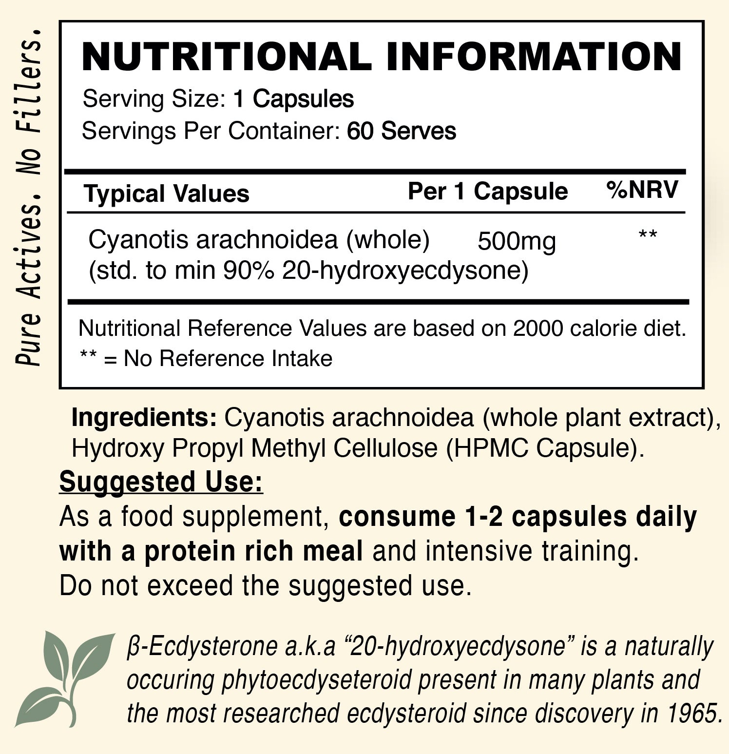 Ecdysterone 90% // Non-hormonal Muscle Builder - Muscle Builder - Strom Sports Nutrition