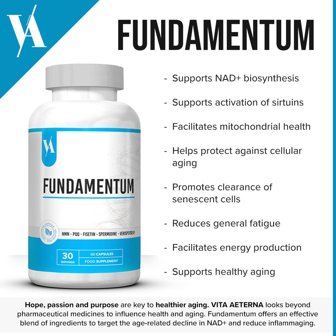 Fundamentum // NAD+ Antiaging - Nootropic - Strom Sports Nutrition