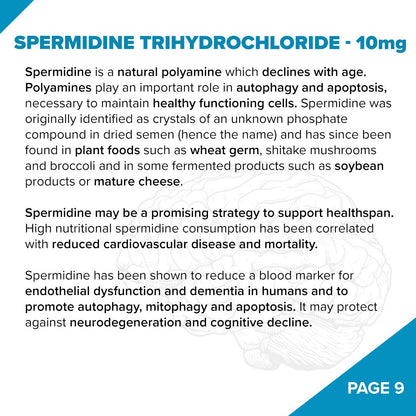 Fundamentum // NAD+ Antiaging - Nootropic - Strom Sports Nutrition