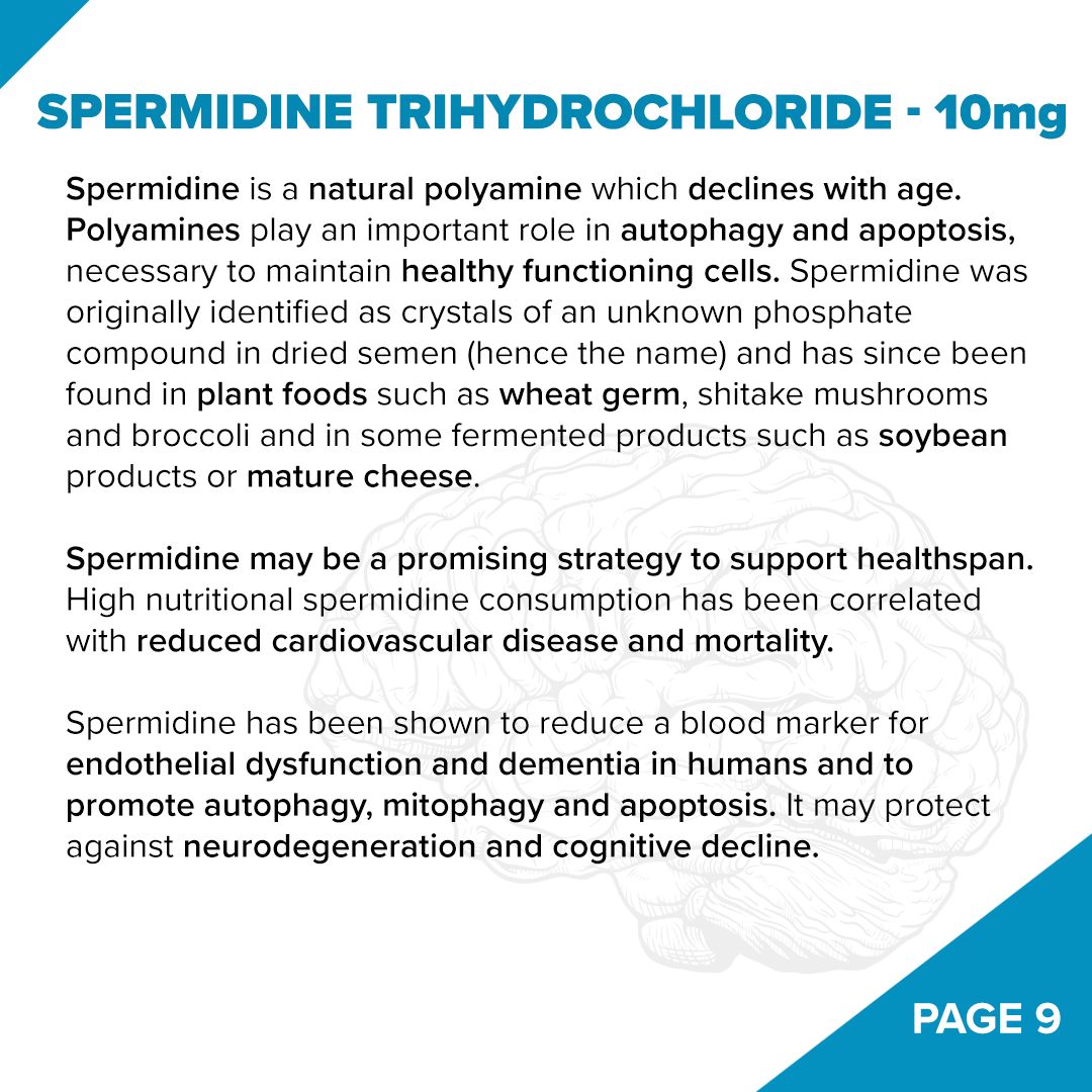 Fundamentum // NAD+ Antiaging - Nootropic - Strom Sports Nutrition