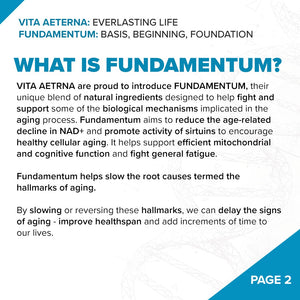 Fundamentum // NAD+ Antiaging - Nootropic - Strom Sports Nutrition