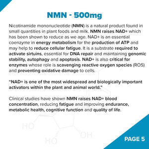 Fundamentum // NAD+ Antiaging - Nootropic - Strom Sports Nutrition