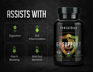 GI Support // Digestion & Gut Support - Essentials - Strom Sports Nutrition