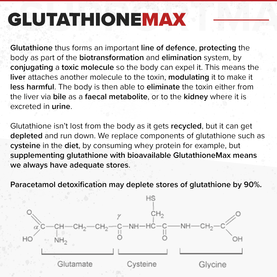 GlutathioneMAX // Liver & Antioxidant Support - Essentials - Strom Sports Nutrition