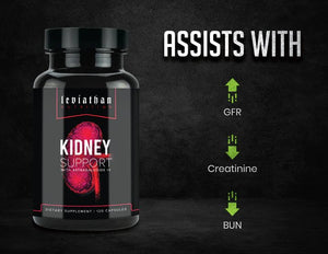 Kidney Support // Kidney & Bladder Support - Essentials - Strom Sports Nutrition