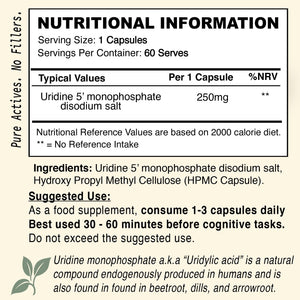 Uridine Monophosphate // Focus, Mood & Brain Health Nootropic - Nootropic - Strom Sports Nutrition